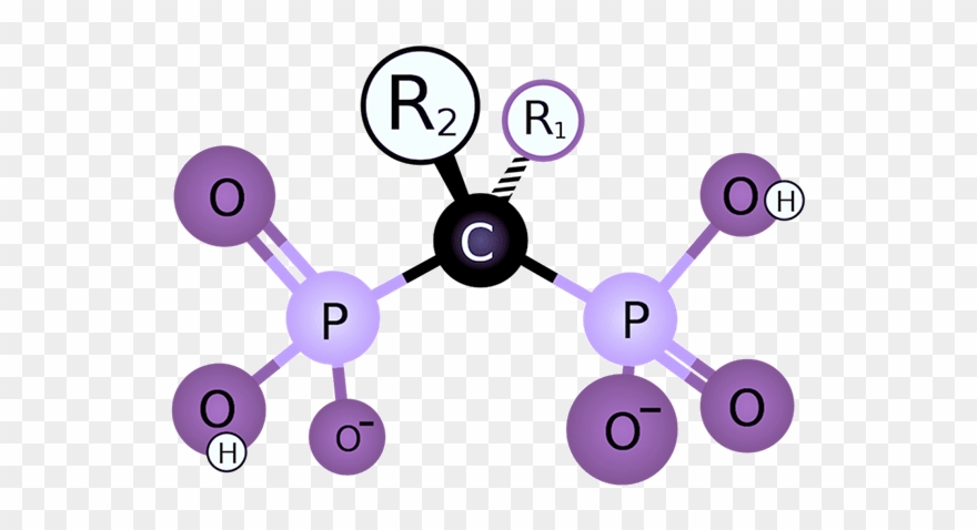 Bisphosphonates In Dentistry And Osteonecrosis Of The - Bisphosphonate Molecule Clipart