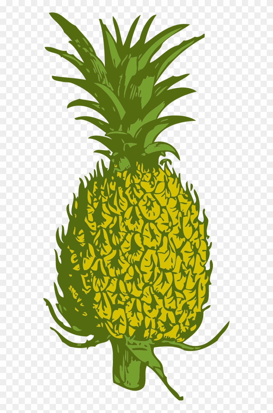 Vector Clip Art - Pineapple Black And White Clip Art - Png Download
