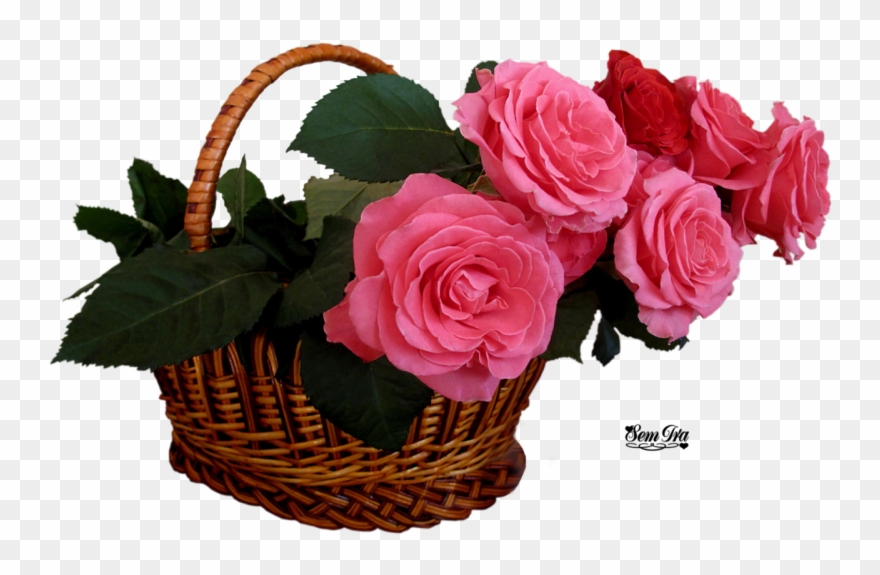 Посмотреть - Pink Rose In Basket Clipart