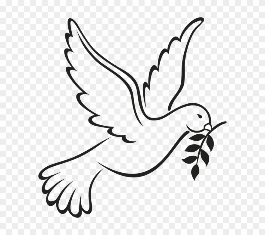 Doves Clipart Head - Colombe De La Paix Dessin - Png Download