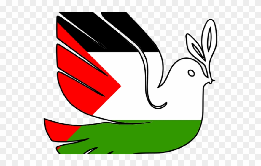 Peace Dove Clipart Palestine - Palestina Paz - Png Download