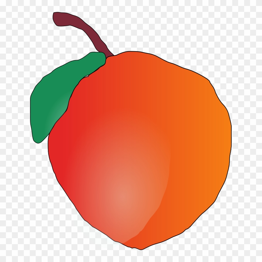 Apple Line Art Computer Icons Download Clipart