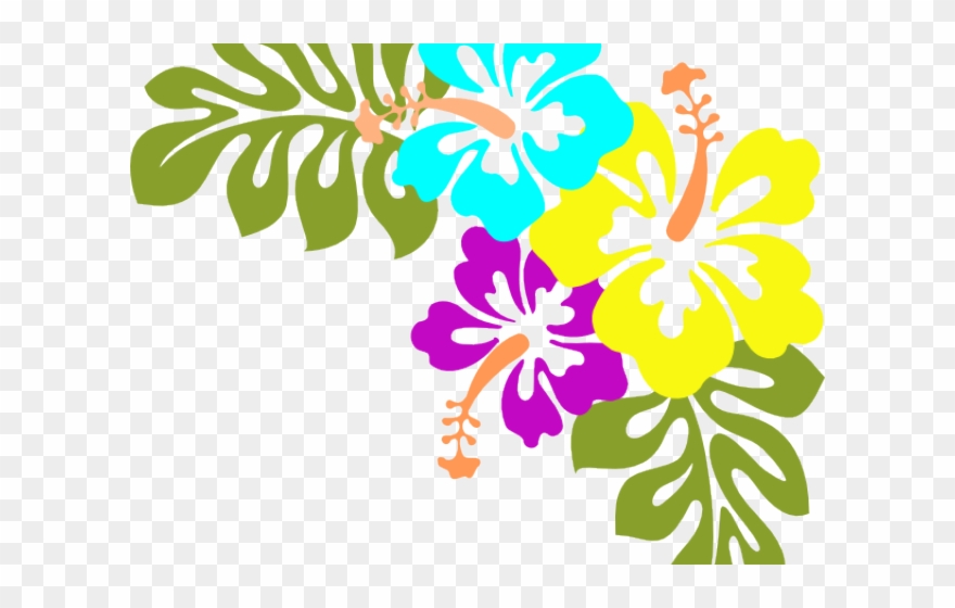 Library Clipart Borders - Hawaiian Flowers Transparent Background - Png Download