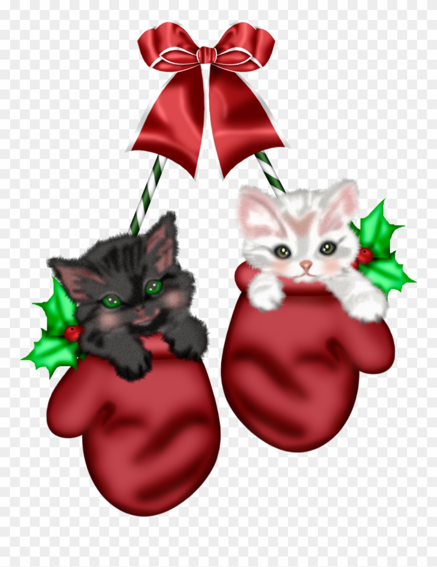 Mis Laminas Para Decoupage - Christmas Cat Clipart - Png Download