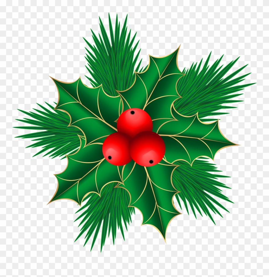 Clipart Mistletoe - Png Download