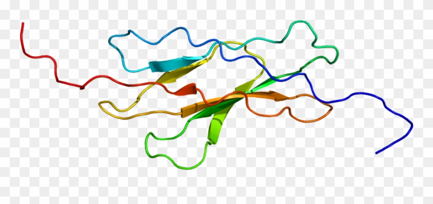 27, 24 December 2009 Clipart