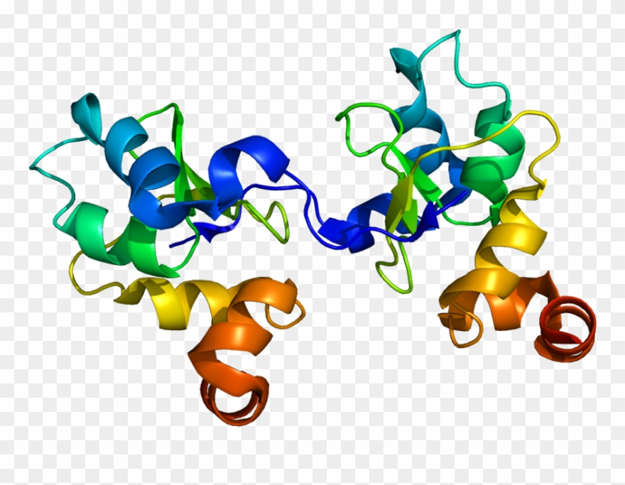 18, 16 December 2009 - Baculoviral Iap Repeat Clipart