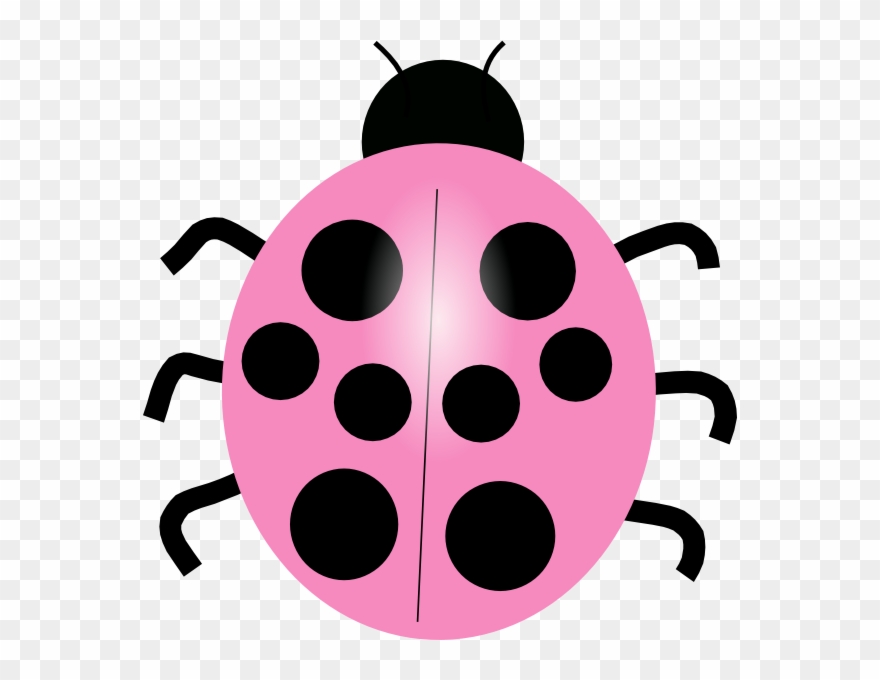 Pink Lady Bug Png Clipart