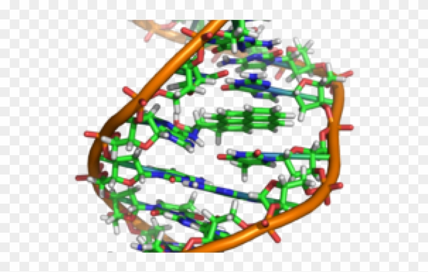 Ethidium Bromide Dna Structure Clipart