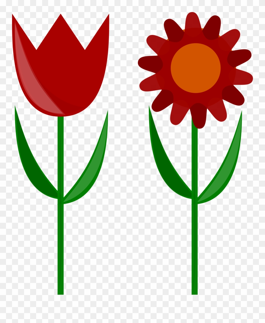 Flower Clip Art - Daisy Purple Flower Hd - Png Download