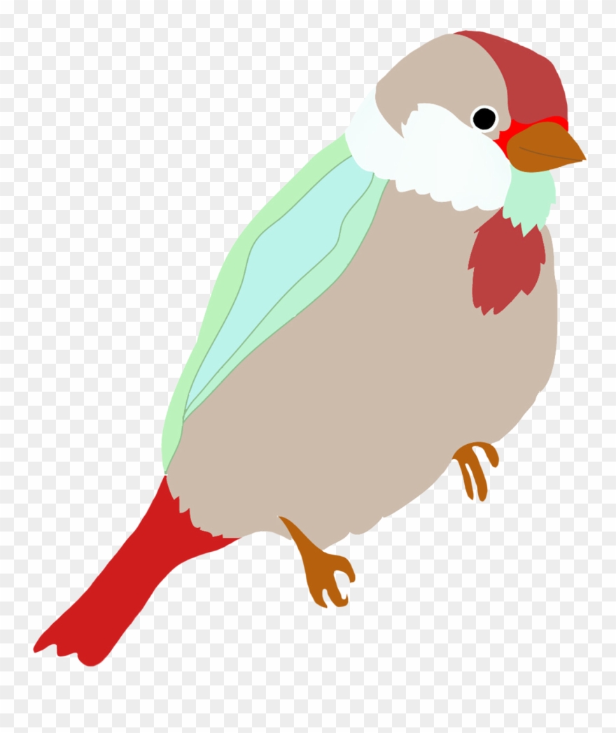 Robin Clipart Drawn - Bird Transparent Color Drawing - Png Download