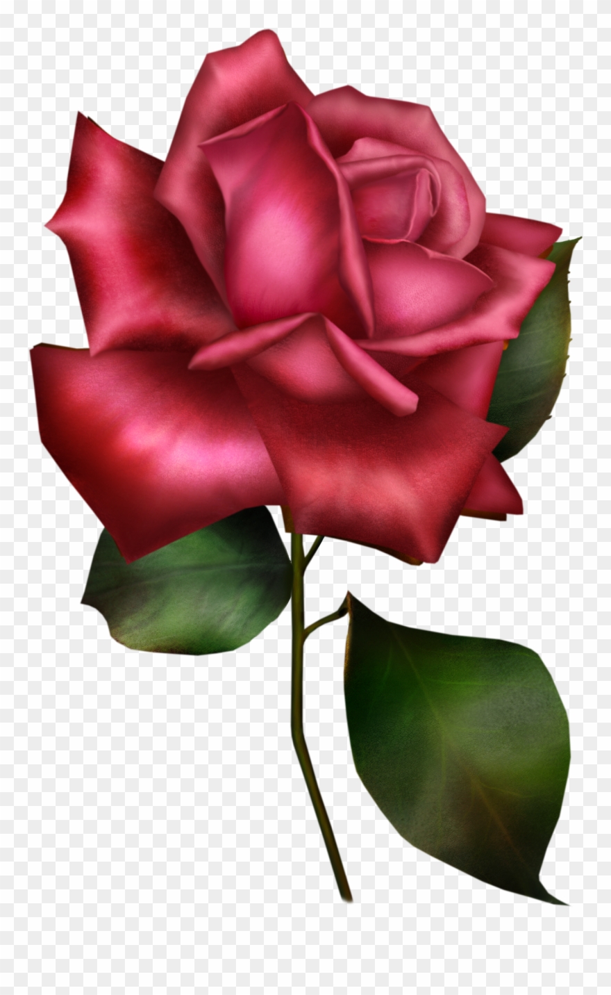 Banner Download Flower Sentence Garden Roses Clip Art Popeven Large Floral And Butterfly