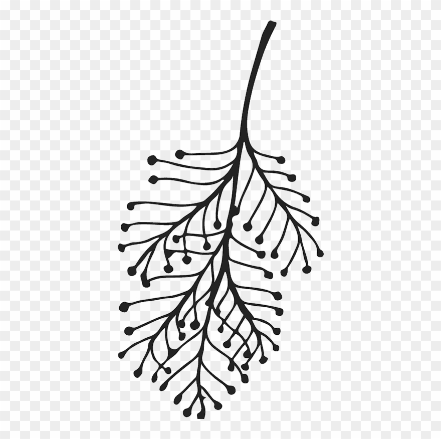 Line Art Clipart