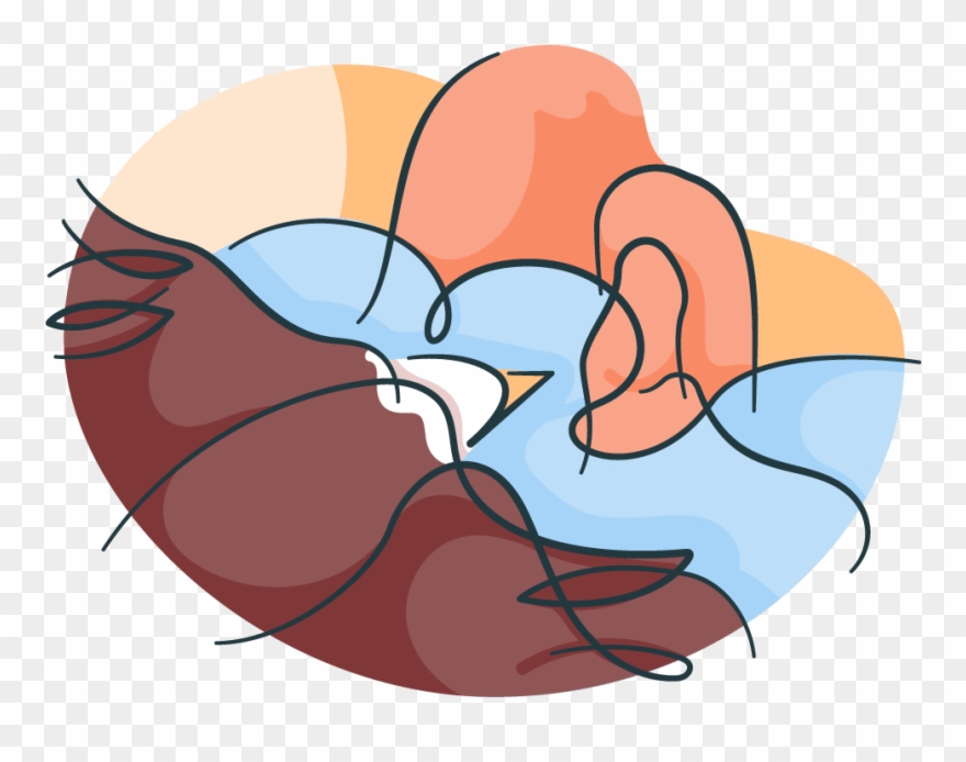 Eagle - Illustration Clipart