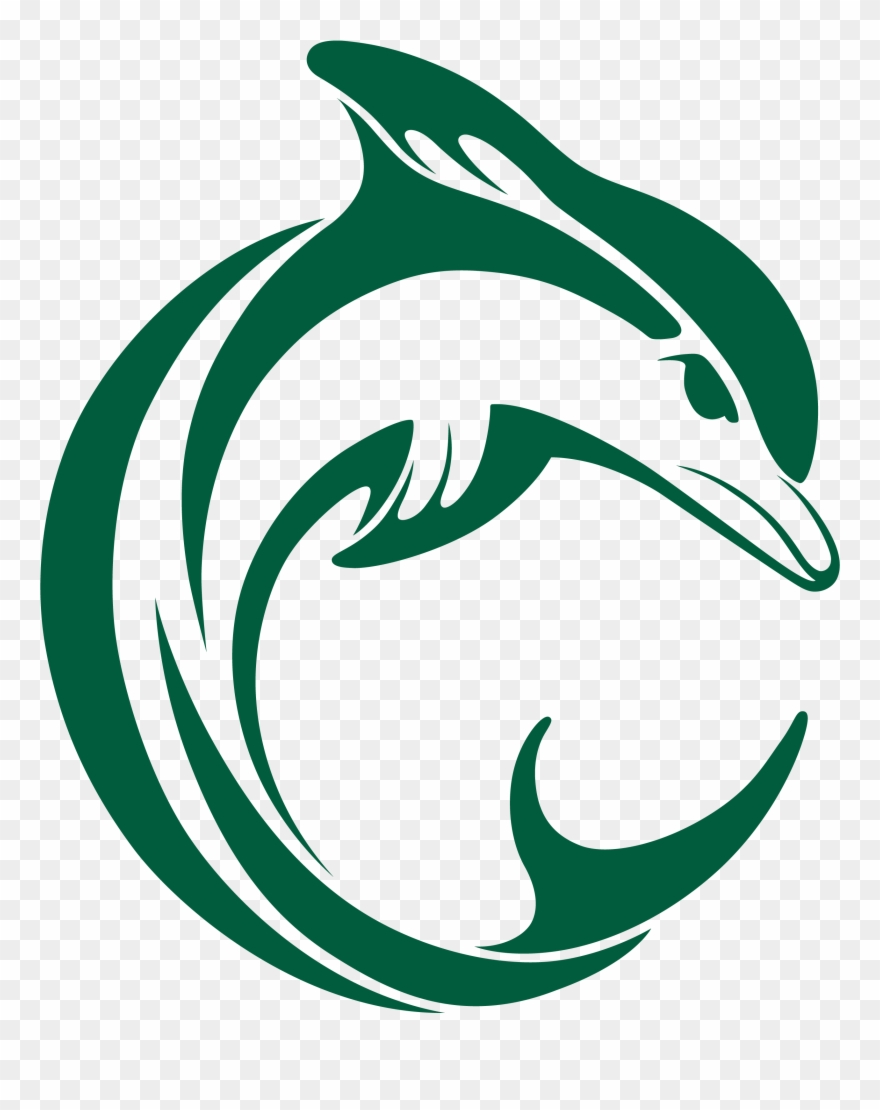 Scc Dolphin Graphic Design Branding Apparel Design - Dolphin Graphic Design Clipart
