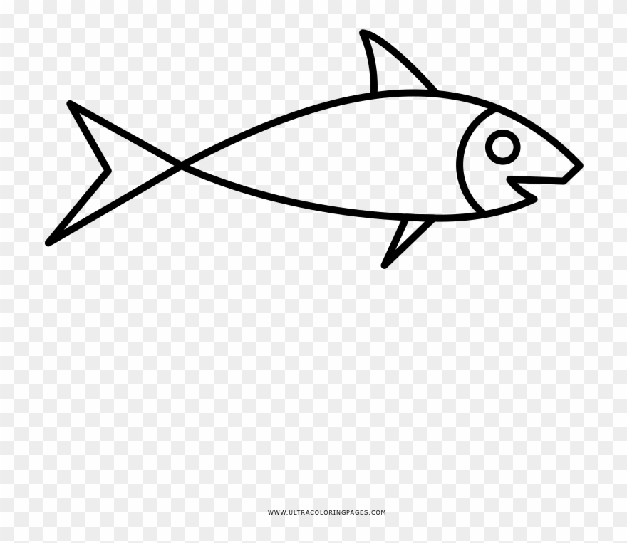 Pescado Página Para Colorear - Coral Reef Fish Clipart