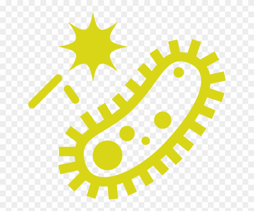 Contains Prebiotics, Probiotics, Enzymes, And Fiber - Scucisd Clipart