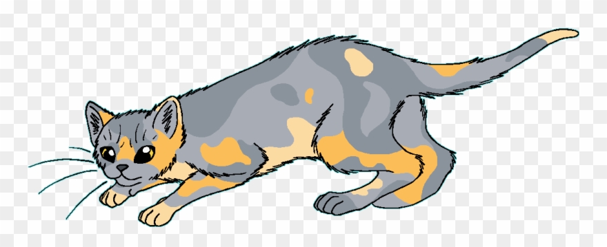 Clipart Cat Drinking Water - Cinderfur Warriors - Png Download