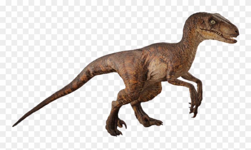 Jurassic Park Png - Jurassic Park Raptor Png Clipart