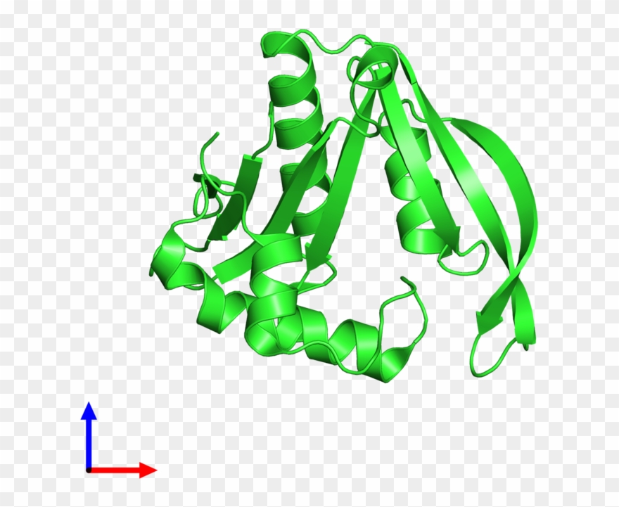 Pdb 4h89 Coloured By Chain And Viewed From The Front - Graphic Design Clipart