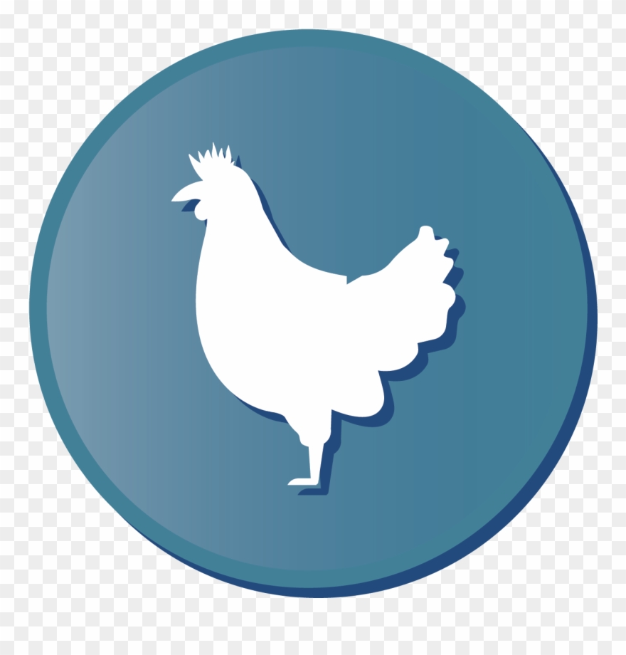 Currently Currie's Corner Farm Has Approximately 90 - Rooster Clipart