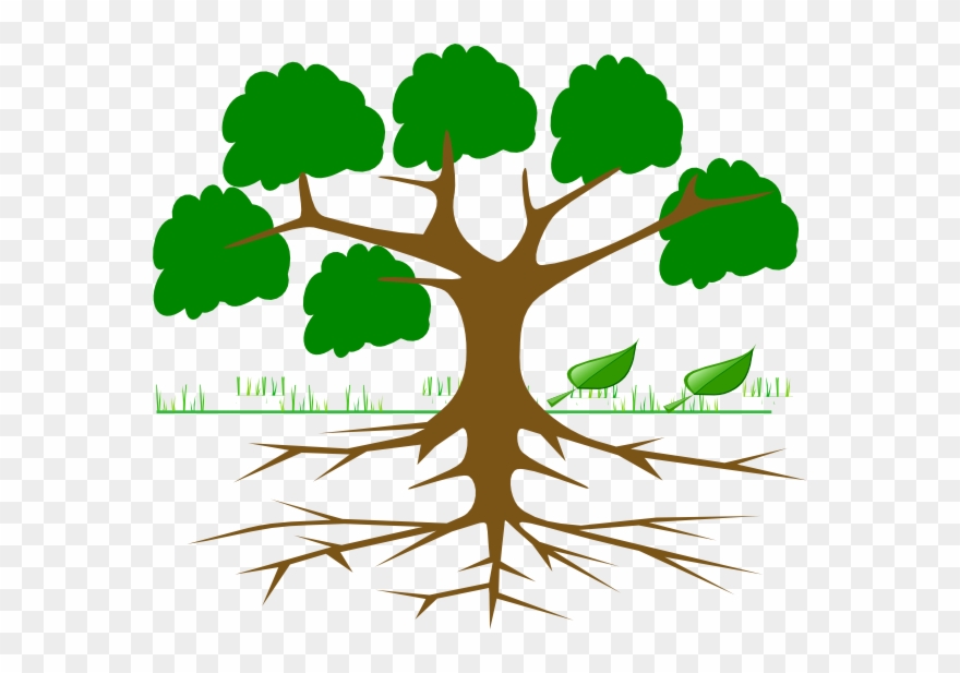 Tree Clipart With Roots - Png Download