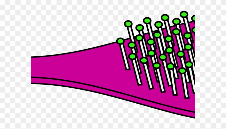 Brush Clipart Animated Hair - Png Download