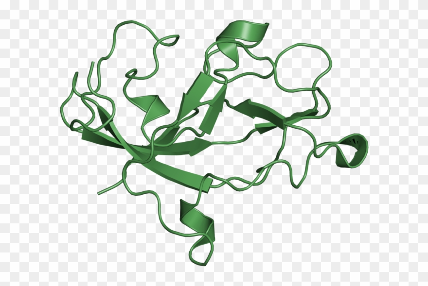 <div Class='caption-body'>1 Copy Of Cath Domain - Illustration Clipart