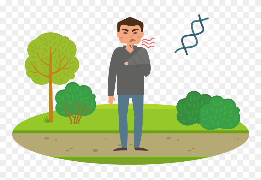 What Is Allergy Guide Sisal And Seagrass Ⓒ Develop Of Asthma