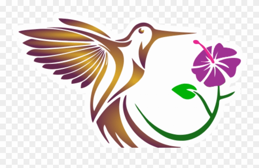 Free Png Download Aves Exoticas De Colombia Png Images - Illustration Clipart