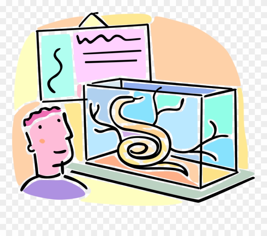 Vector Illustration Of School Student Studies Herpetology Clipart
