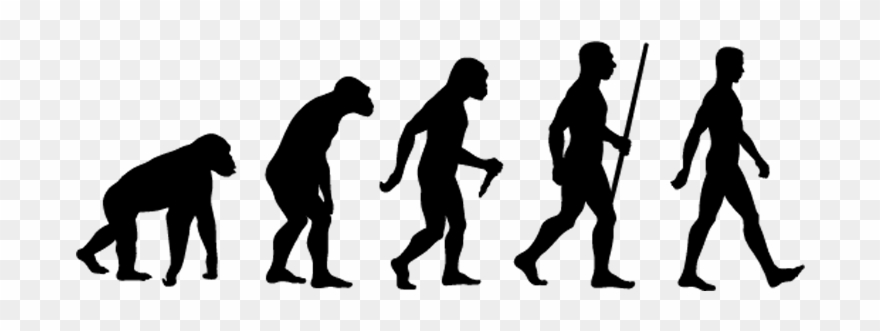 Anthropology Mains Answer Writing - Theory Of Evolution Clipart - Png Download