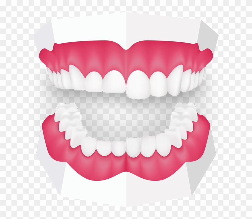 Tooth Grinding Toothbeary - Teeth Grinding Png Clipart