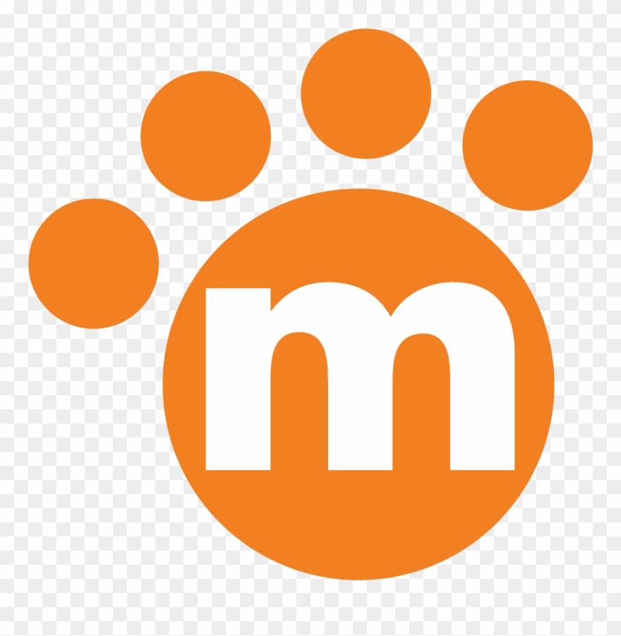 Cat Stuff - Toys - Circle Clipart