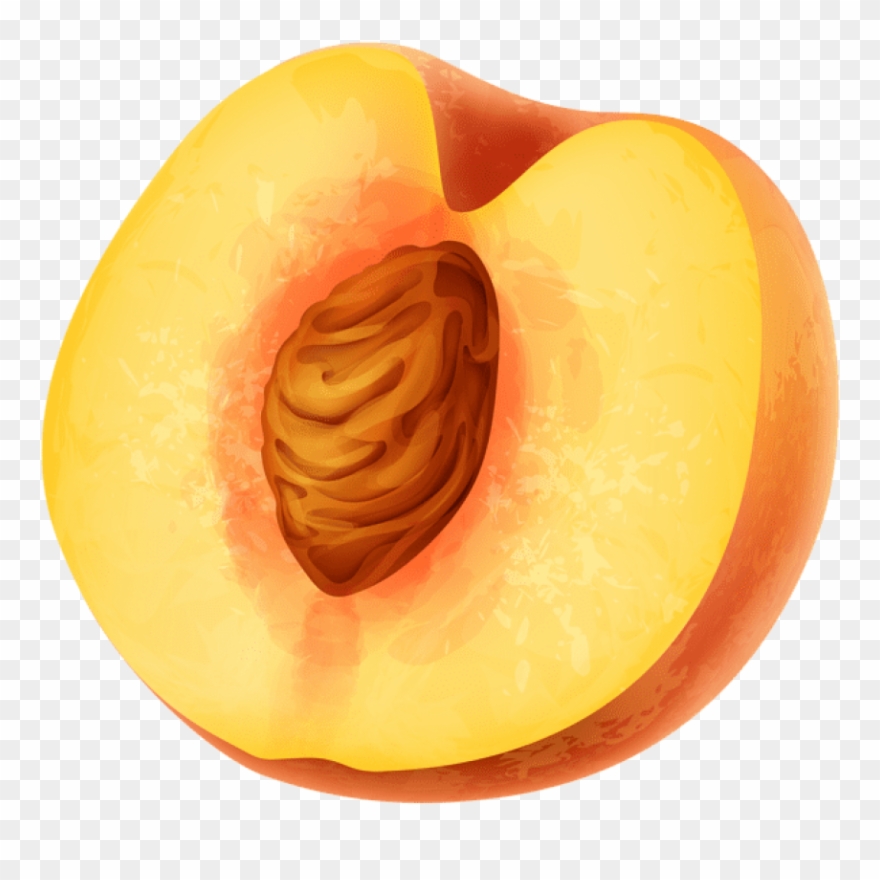 Free Png Half Peach Png Images Transparent - Honeydew Clipart