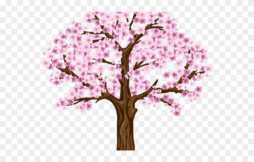 Transparent Cherry Blossom Tree Clip Art - Png Download