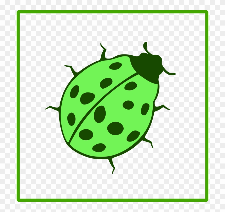 All Photo Png Clipart - Clip Art Transparent Png