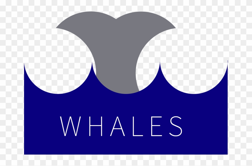 One Thing I Have Learned To Love In Illustrator Is - Graphic Design Clipart