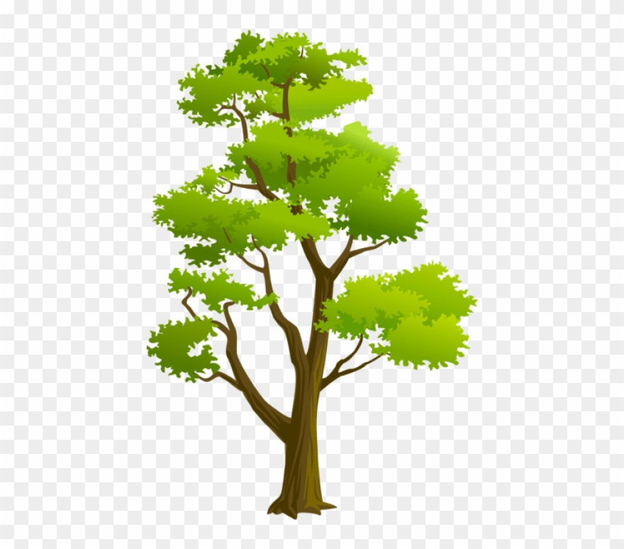 Free Png Download Tree Png Png Images Background Png - Arvores Png Desenho Clipart