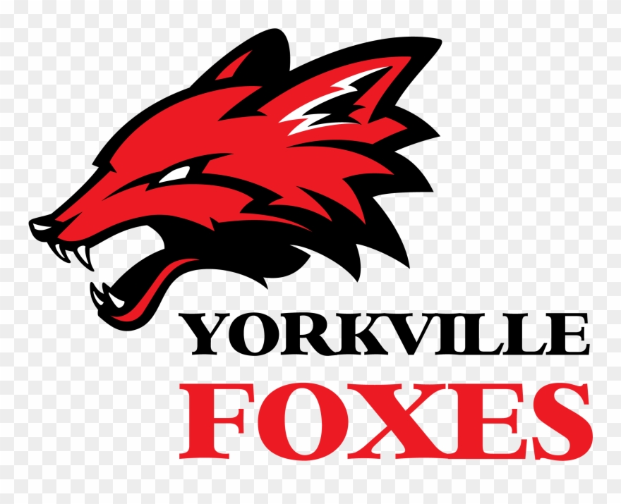 Foxes Fathead - Wellness Logo Cat Food Clipart