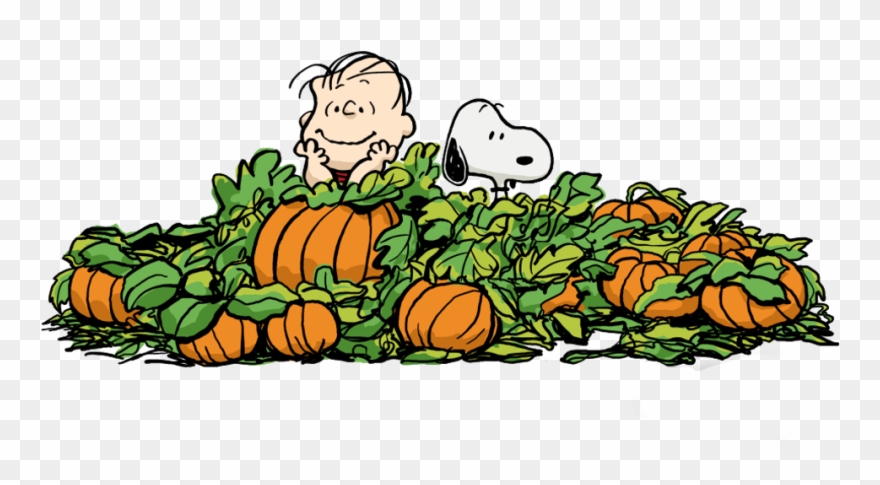 Halloween Charlie Brown Clipart - Png Download
