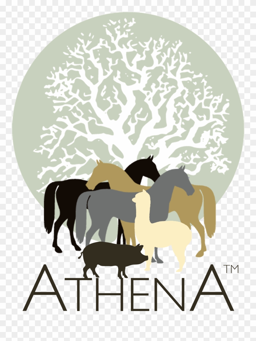 Athena Herd An International Learning And Development - Cartar De Um Jardineiro Clipart