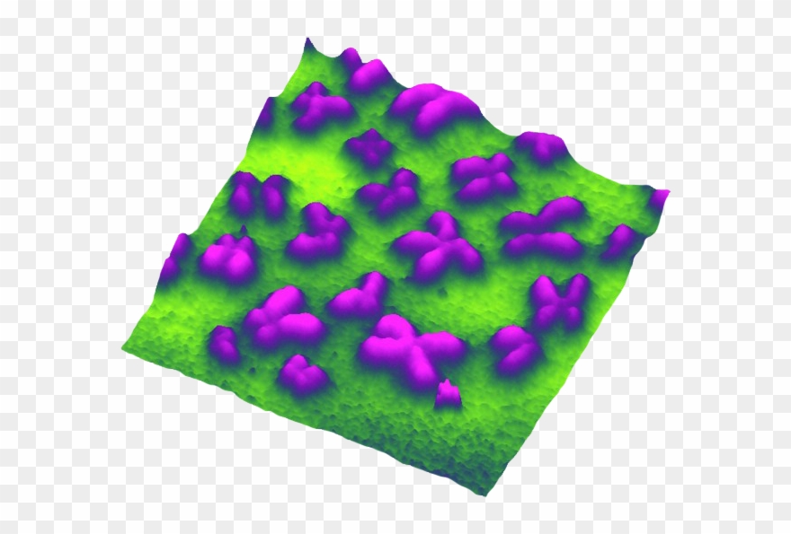 Parallax Parallax Parallax Parallax - Rose Clipart