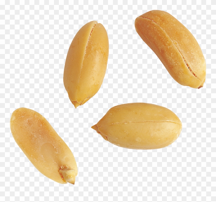 Peanut Png - Peanut Clipart