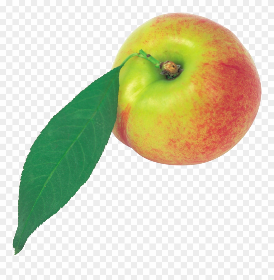 Peach Clipart