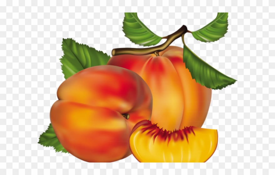 Peach Clipart Chico - Peach Fruit - Png Download