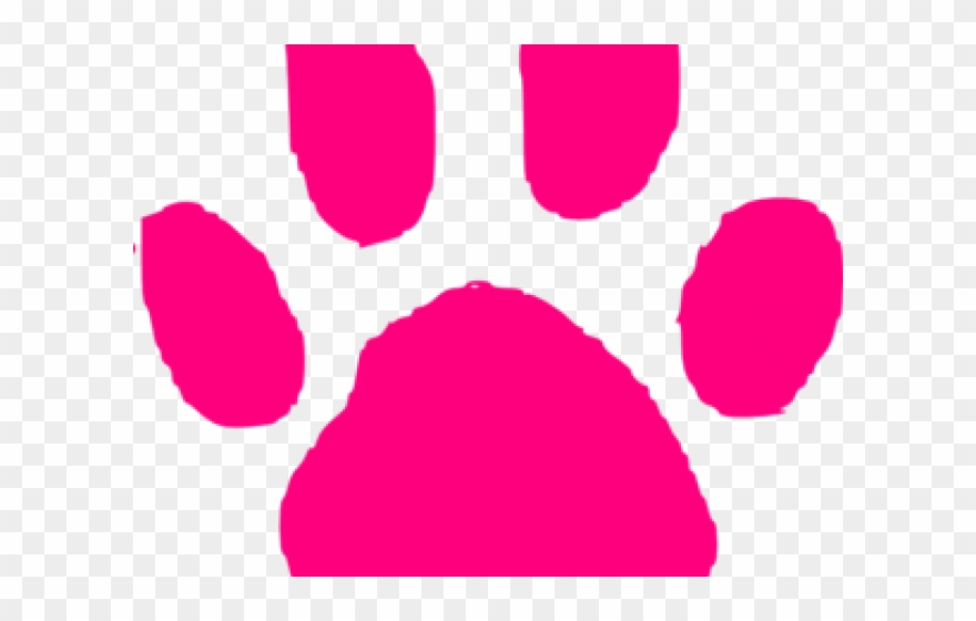 Clip Art Orange Paw Print - Png Download