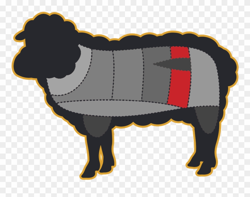 Cooking Concepts - Lamb Back Strap Clipart