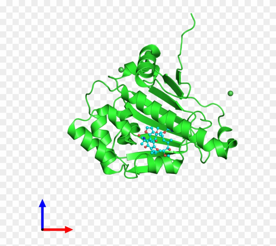 Pdb 4asf Coloured By Chain And Viewed From The Front - Graphic Design Clipart