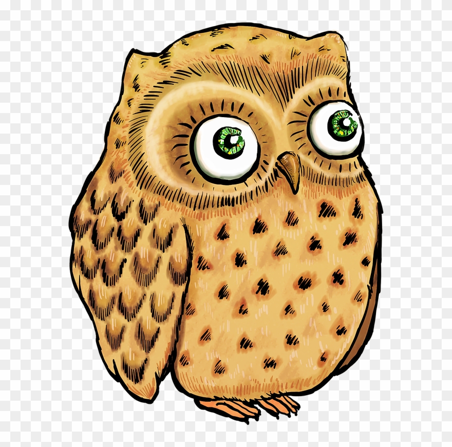 Owl Cute Owl Owl Illustration - Owl Clipart